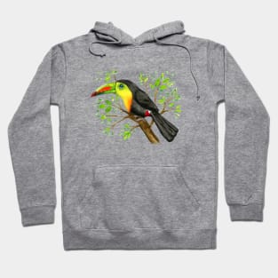 A watercolor drawing of a keel-billed toucan Hoodie